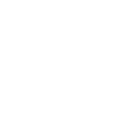 switch